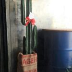 mexican-cactus