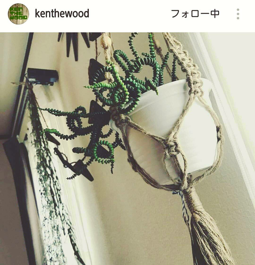 caterpie-kenthewood