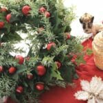 2022christmas-ivy-wreath